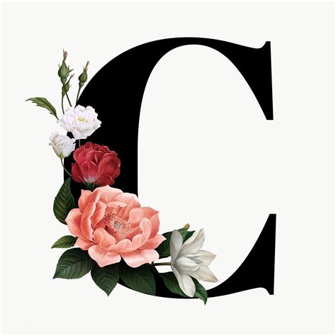 Letter c from alphabet royalty free stock images . Classic and elegant floral alphabet font letter C transparent png ...