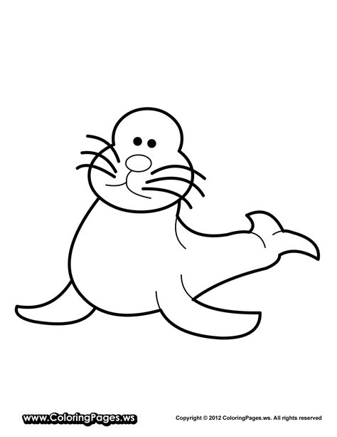 Please support our wonderful sponsors: Seal coloring pages download and print for free