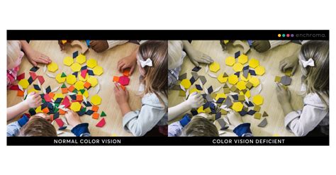 50 Best Ideas For Coloring Enchroma Color Blind Test For Kids