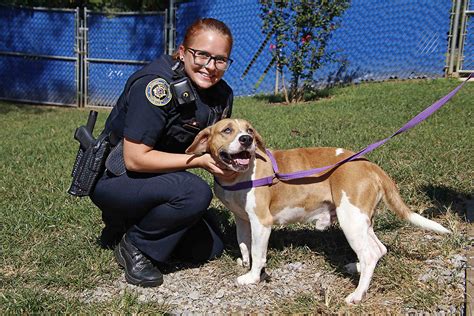 Pet friendly hotels in or near clarksville, tn. Clarksville Police Department features Pets for Adoption ...