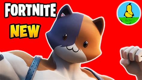 Fortnite Meowscles Mischief Challenge All Locations Revealed Youtube