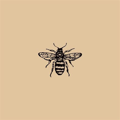 Aesthetic Bee Wallpapers Top Hình Ảnh Đẹp