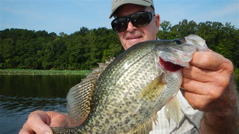 Put These Crappie Lakes On Your To Do List For 2016