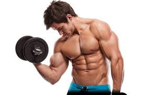 Awesome Upper Body Muscle Building Exercises Bodydulding