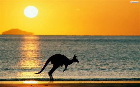 Australia Beaches Wallpapers Top Free Australia Beaches Backgrounds