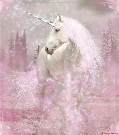 Unicorn Meaning Symbolism And Spirit Animal Pagans And Witches Amino
