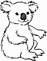 Koala Coloring Printable Bear Sheets Baby Cartoon sketch template