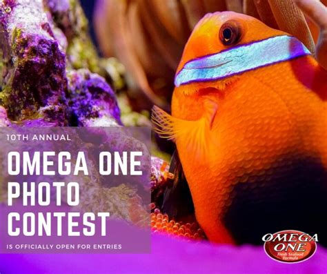 Enter To Win Omega One Photo Contest Reef Builders The Reef And
