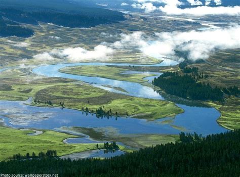Interesting Facts About Yellowstone National Park Just Fun Facts