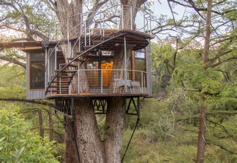 Treehouse Made From Sustainable Wood Hides A Luxurious Interior
