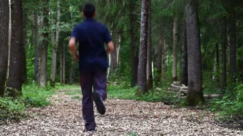 Boy Lost In The Woods Episode 1 ⬇ Video By © Ilze79 Stock Footage 28741007