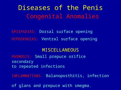 Ppt Diseases Of The Penis Congenital Anomalies Epispadias Dorsal