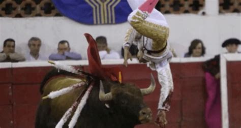 Bullfighter Gored In Groin And Carried Out Of Ring Screaming Video