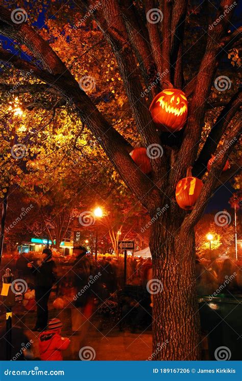 Lighted Pumpkins In A Tree Editorial Photo Image Of Halloween 189167206