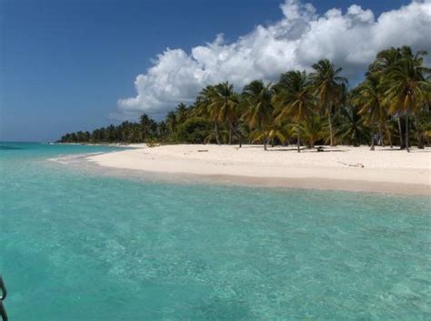 5 excursions et des visites en république dominicaine. Foto de Pro excursions Bayahibe, Bayahíbe: Plages de reves ...