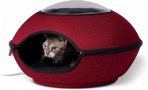 5 Best Heated Cat Beds During Cold Winter Nights Ok Cute Pets