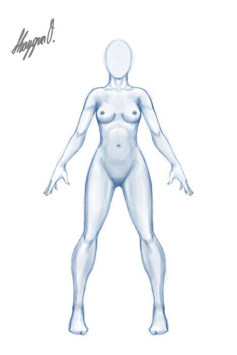 Male Anatomy Template Front By Shintenzu On Deviantart Female