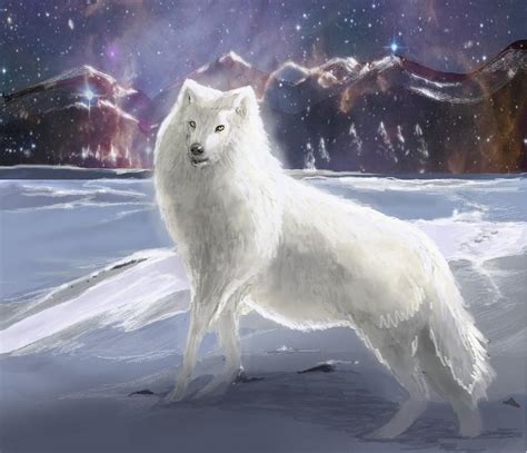 White Wolf Digital Art By Louise Lavallee Fine Art America