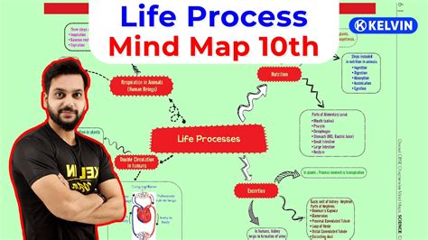 Class Life Processes In One Shot Mind Map Cbse Science Chapter Ncert Solution