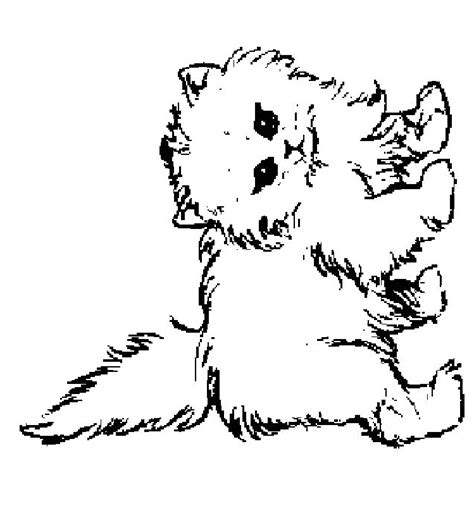 Explore our vast collection of coloring pages. Coloring Pages Of Puppies And Kittens - Coloring Home