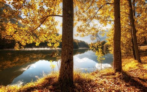 Fertilizing is important in the fall. nature, Landscape, Fall, River, Leaves, Hill, Trees, Reflection, Yellow, Grass, Water Wallpapers ...