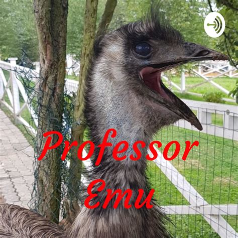 Professor Emu