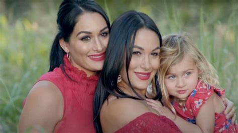 Nikki And Brie Bella Take Fans On Their Pregnancy Journeys In New