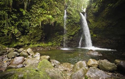 the emerald pool roseau dominica places to see places to go roseau dominica