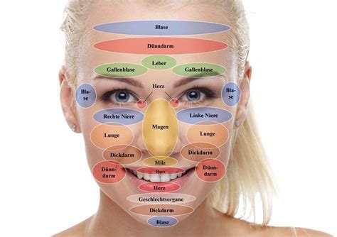 Wellness Für Die Gesichtszonen Die Erkenntnis Dass Im Gesicht Die Empfindlichsten Reflexzonen