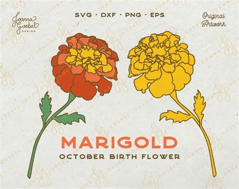 Marigold Svg October Birth Flower Svg Layered Flower Svg Etsy