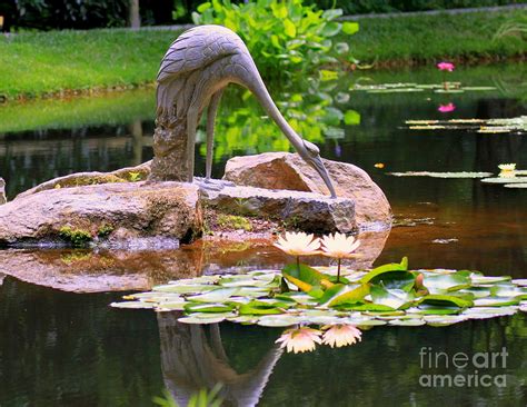 Reflections Water Lilies And Statues Photograph By Charlene Cox Fine