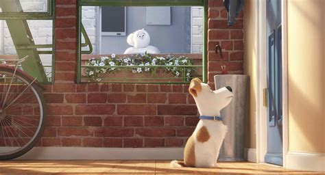 The Secret Life Of Pets Movie Review Reel Advice Movie Reviews