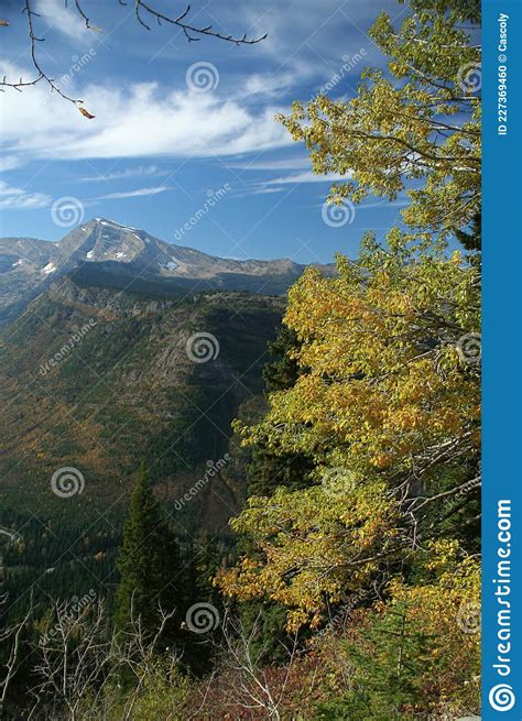 Autumn Poplars Mountain Valleys And Ridges Stock Photo Image Of