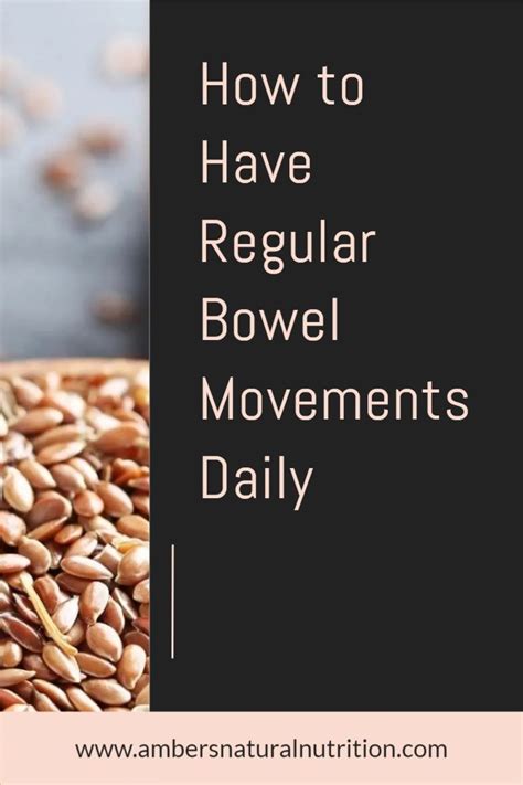 Having Healthy Bowel Movements Every Day Is Crucial For Weight Loss And