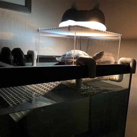 Medium Turtle Tower Turtle Basking Platform Turtle Dock Etsy Turtle