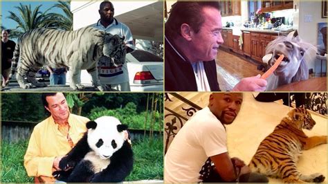 Celebrities Owning Exotic Or Weird Pets Youtube