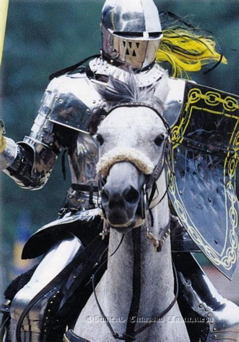 a knight in shining armor maxixa
