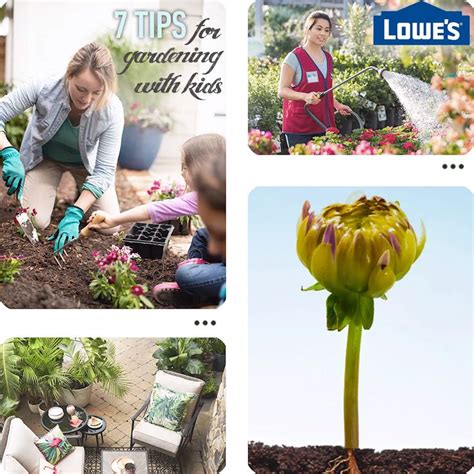 Maybe you would like to learn more about one of these? Find your nearest Lowe's Garden Center today. [Video ...