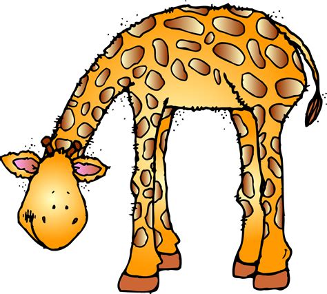 Baby Forest Animal Clipart Free Clipart Images 3 Clipartix