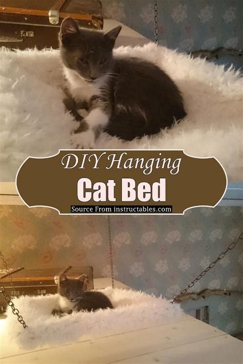 Two Cats Laying On Top Of A Bed With The Caption Diy Hanging Cat Bed