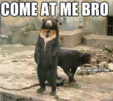 x rated funny chicago bear memes whicker andendee