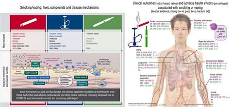 Men are dying at higher rates than women. First comparison of dangers of tobacco cigarettes, e ...