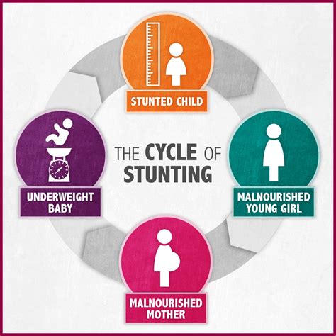 Interrelationship Between Nutrition And Stunting Public Health Notes