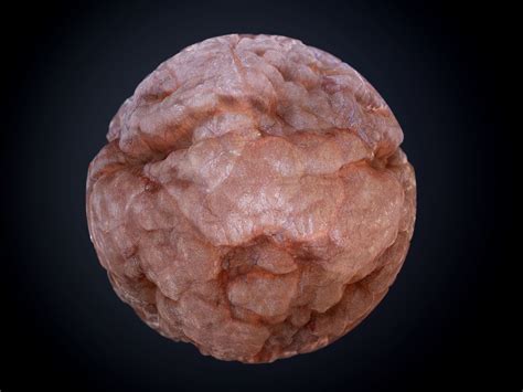 Gore Blood Guts Skin Cuts Seamless PBR Texture 13 3D model