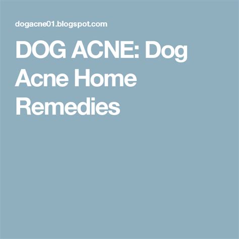Dog Acne Dog Acne Home Remedies Dog Acne Home Remedies For Acne