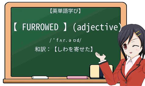 英単語 Furrowedを徹底解説！意味、使い方、例文、読み方