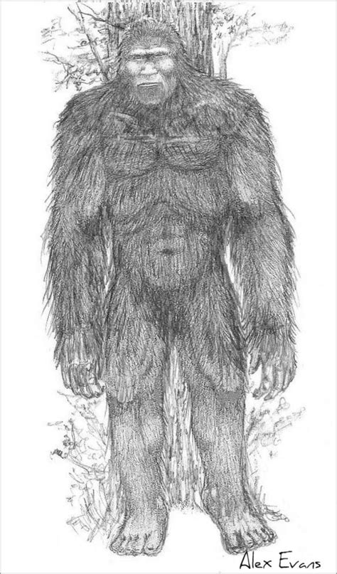 bigfoot coloring pages coloringbay