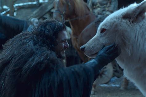 Game Of Thrones Series Finale Jon Reunites With Ghost The Direwolf Vox