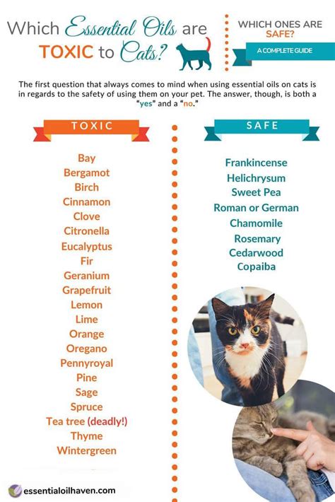 Doing something as seemingly innocent as diffusing some peppermint to freshen up the air can have you rushing your kitty straight to the veterinarian's office. Which Essential Oils are Toxic to Cats? Which Ones are ...