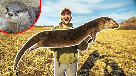 I Trapped A Giant Otter At My Farm Rare Catch Youtube